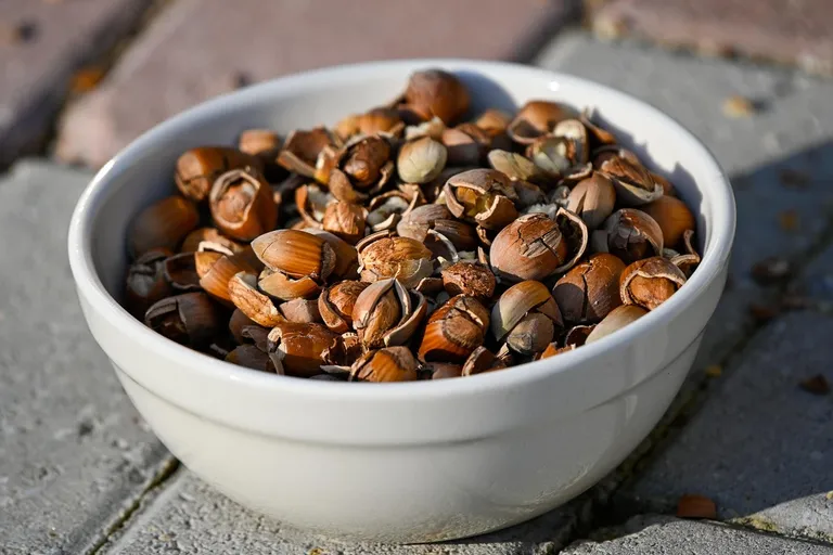Karma okiem właściciela: Oli i Greenheart-Premiums Anti Allergy