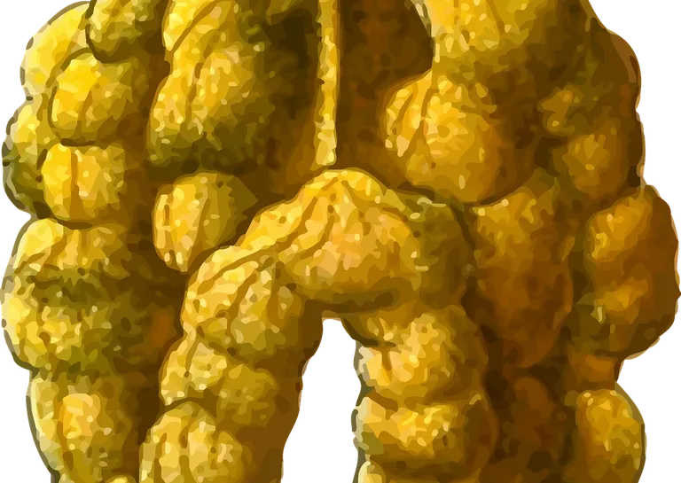 Kwasy Omega-3 i probiotyki
