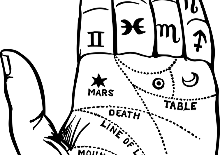 nosówka